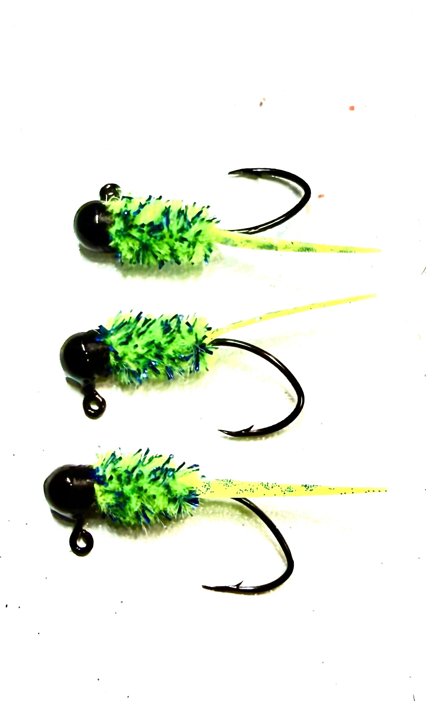 Blue Grass Wedge Tail 3/pack