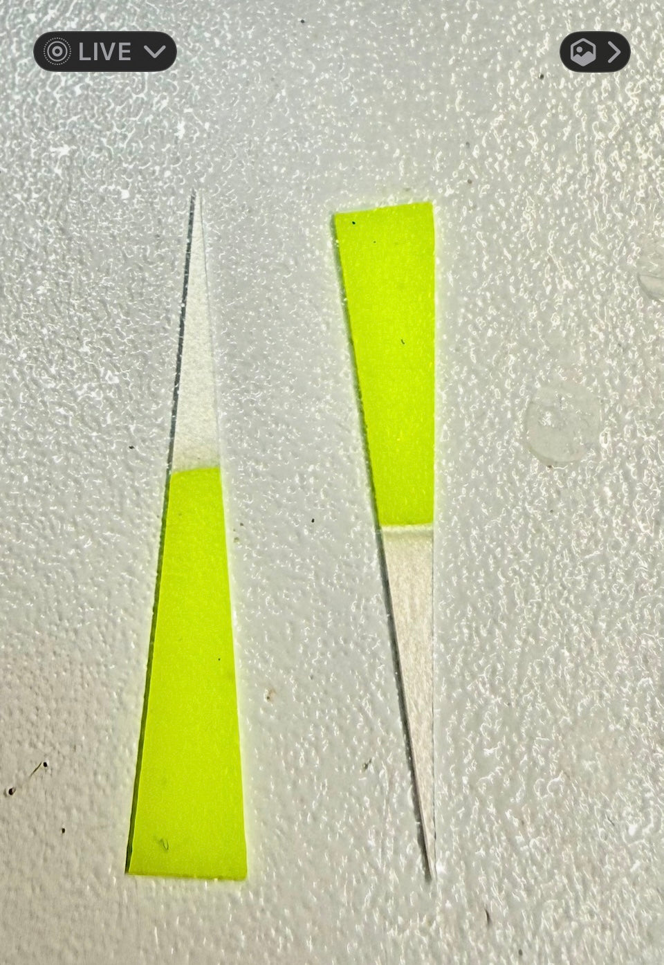 Mini Wedge Tail 25/pack