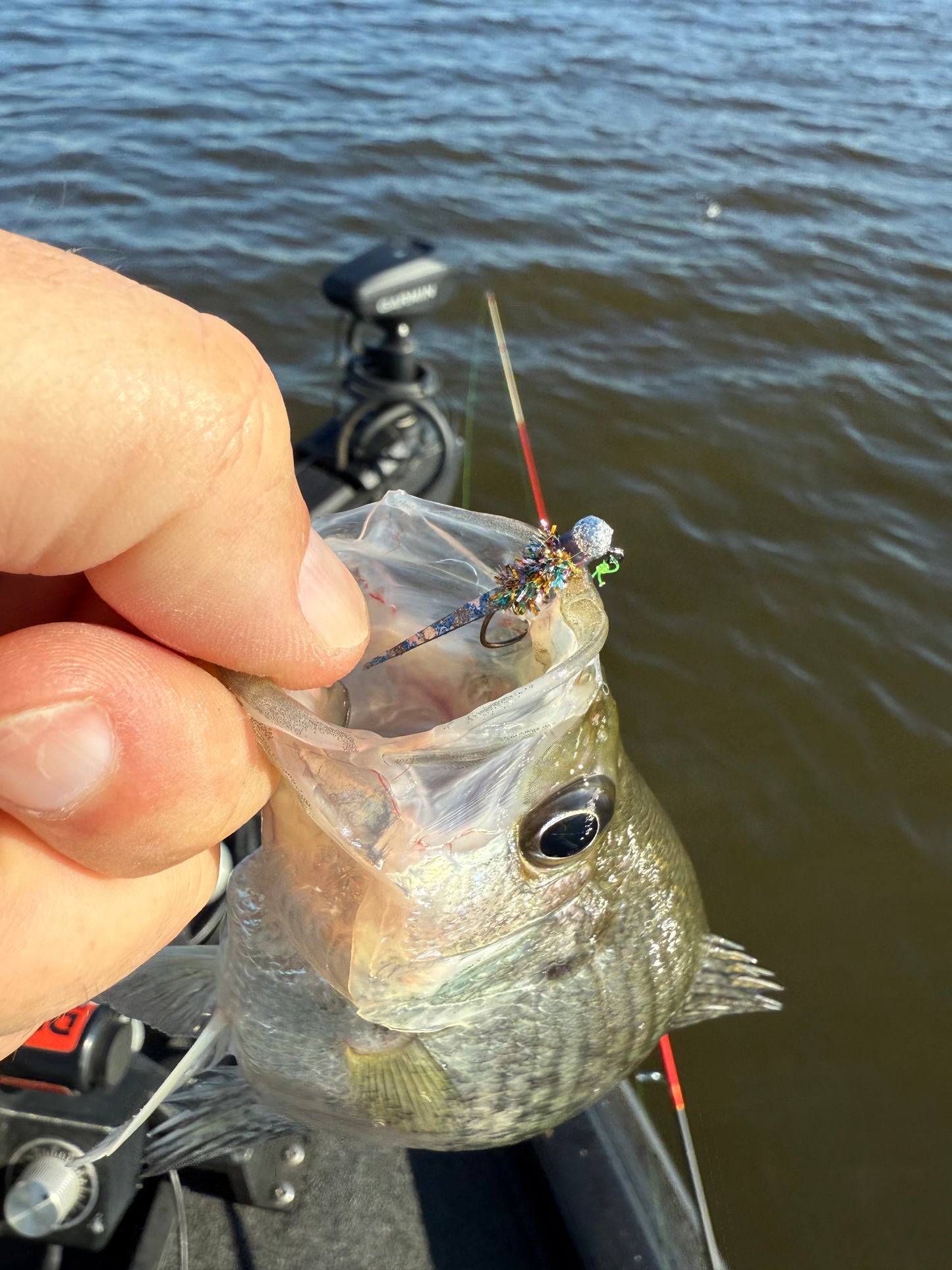 Crappie Jig - Silver Rainbow Wedge Tail 3/ Pack