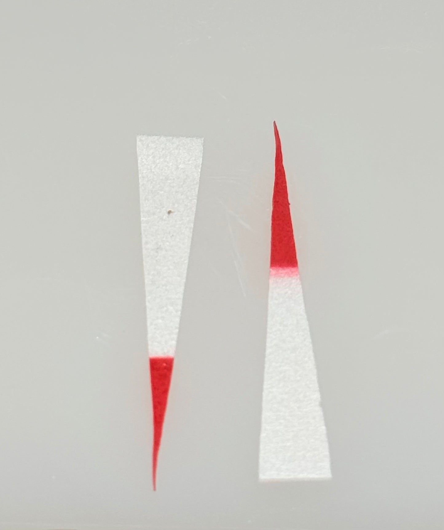 Mini Wedge Tail 25/pack