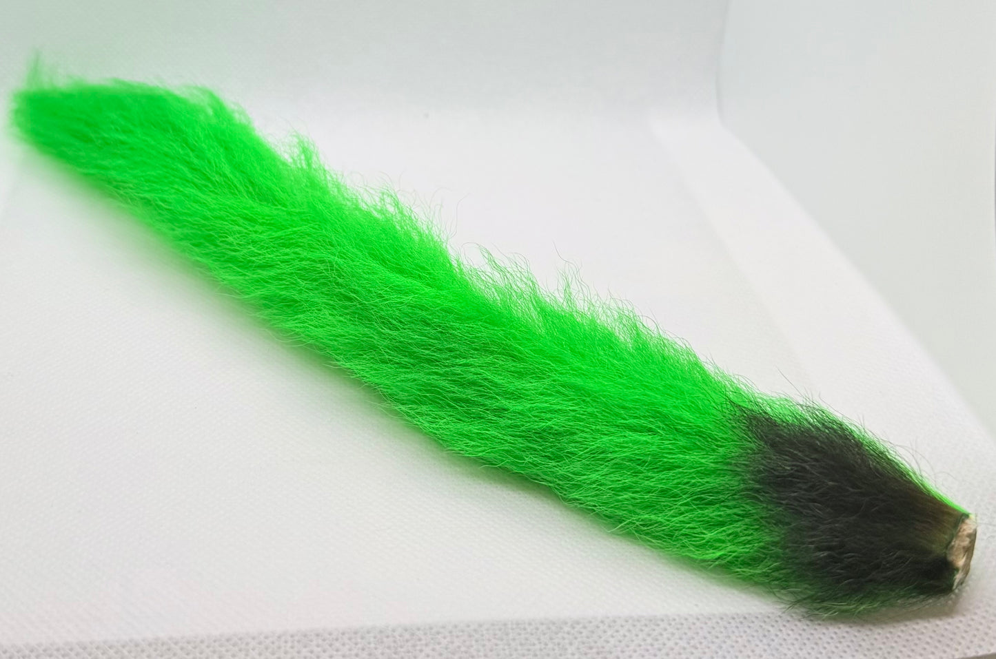 Kiptail (Calf Tail)
