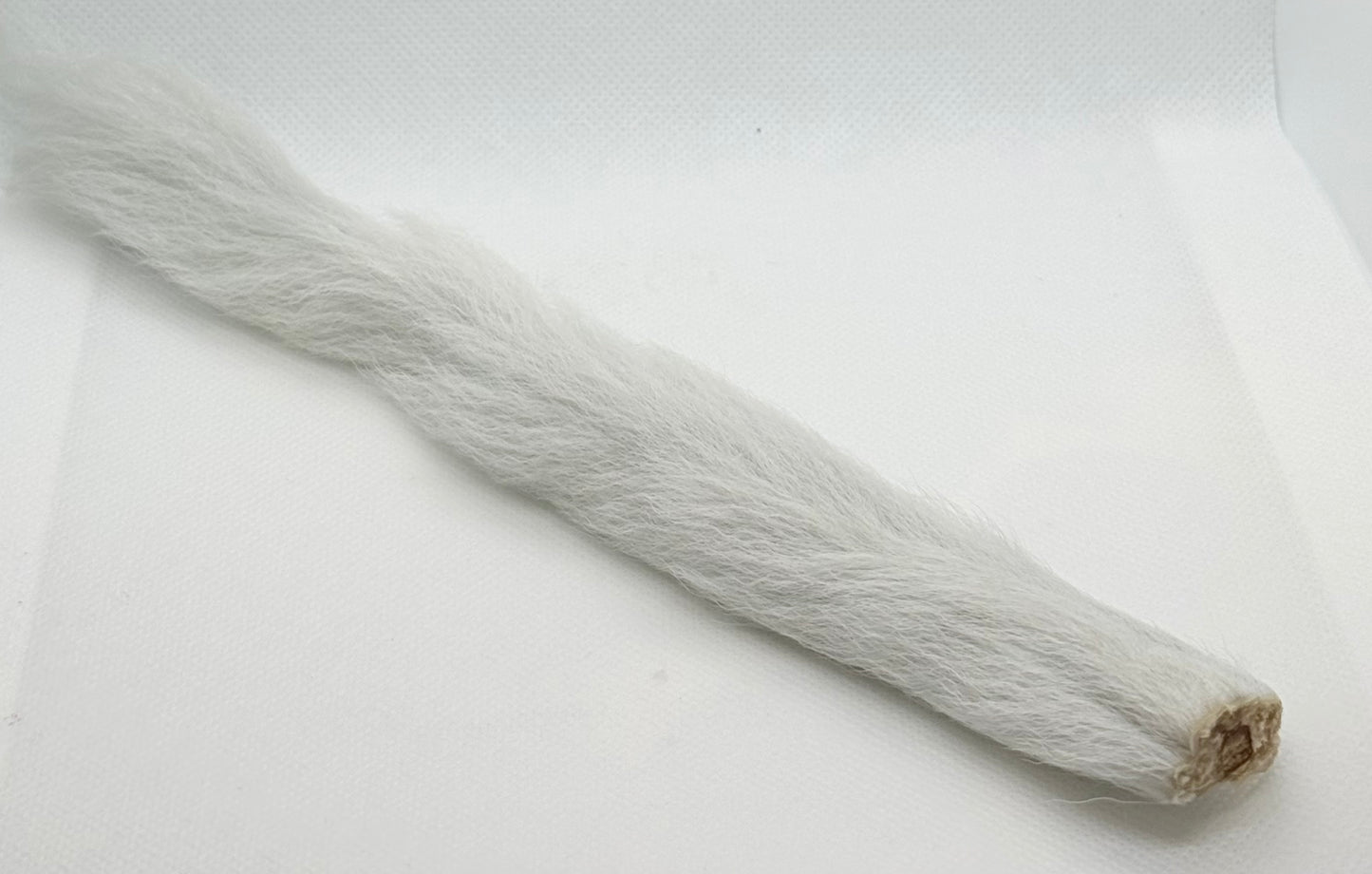 Kiptail (Calf Tail)