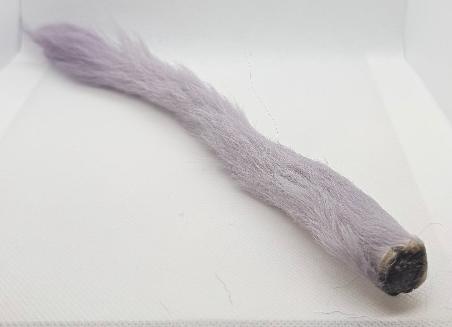 Kiptail (Calf Tail)