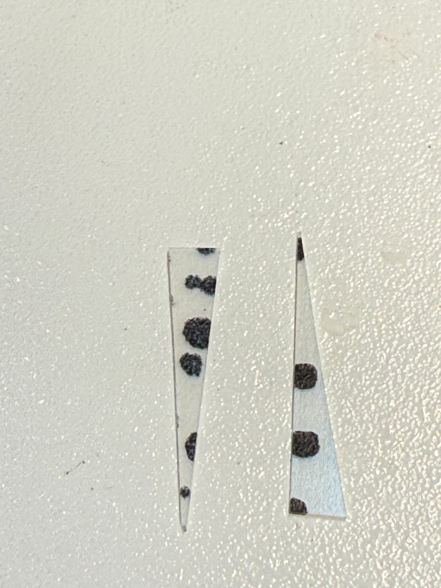 Mini Wedge Tail 25/pack