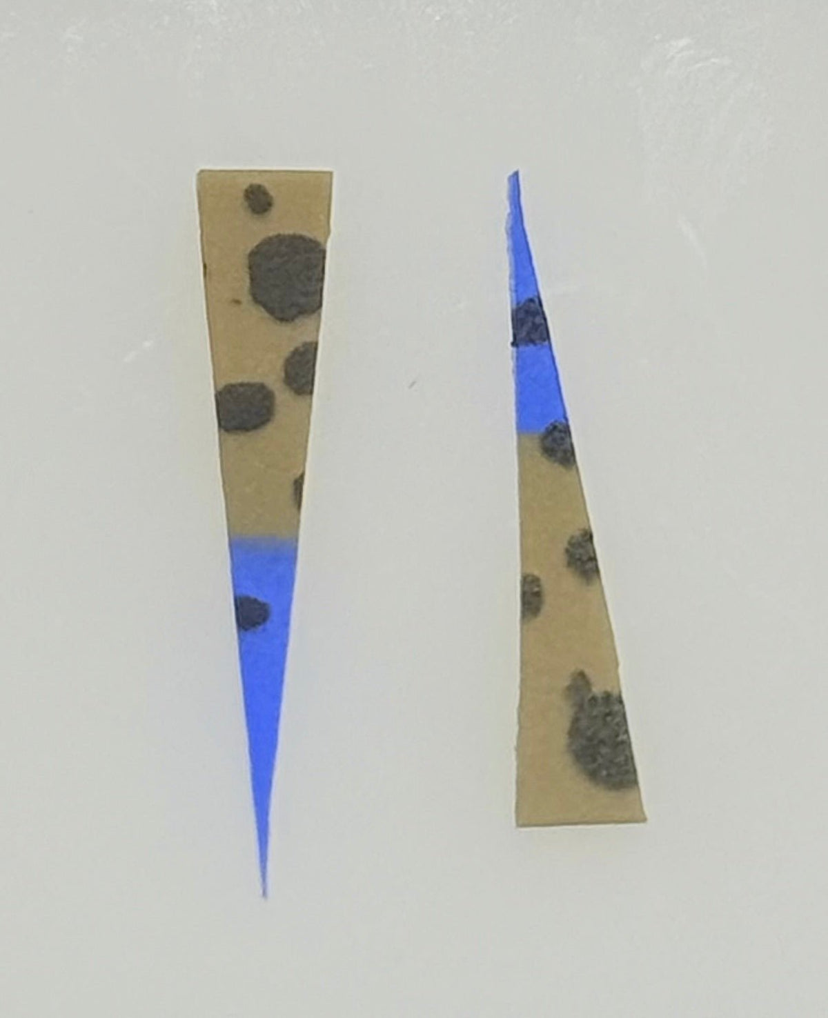 Mini Wedge Tail 25/pack - Crappie Carnivore